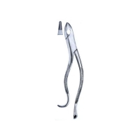  Extracting Forceps American Pattern